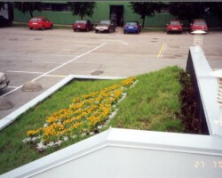 Valtsitud katteplekid Valtsitud katteplekid