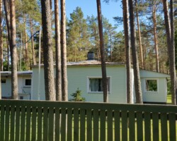 Värvimata katus Värvimata katus